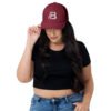 retro-trucker-hat-cranberry-front-683d228394119.jpg Trucker Cap